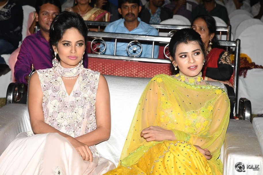 Ekkadiki-Pothavu-Chinnavada-Movie-Audio-Success-Meet